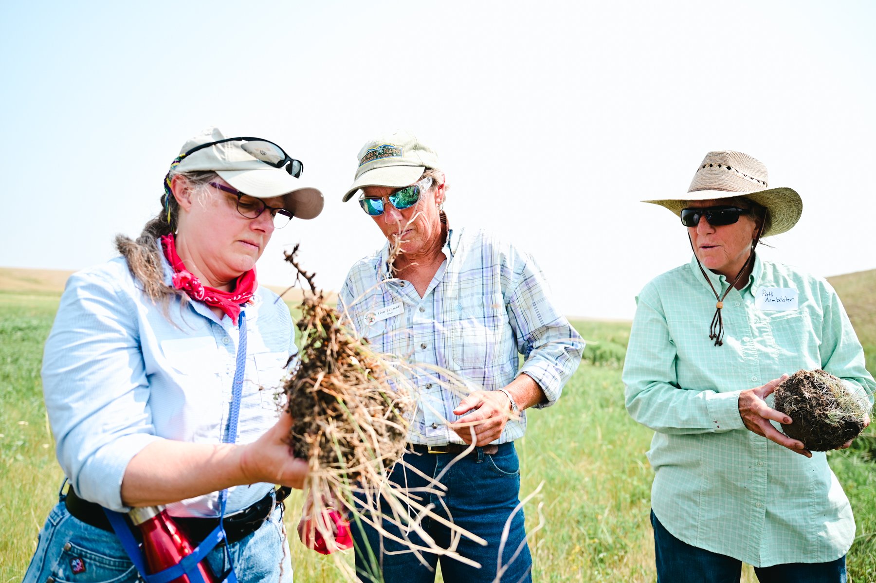 Ranching Innovations during a Drought in Montana’s Golden Triangle