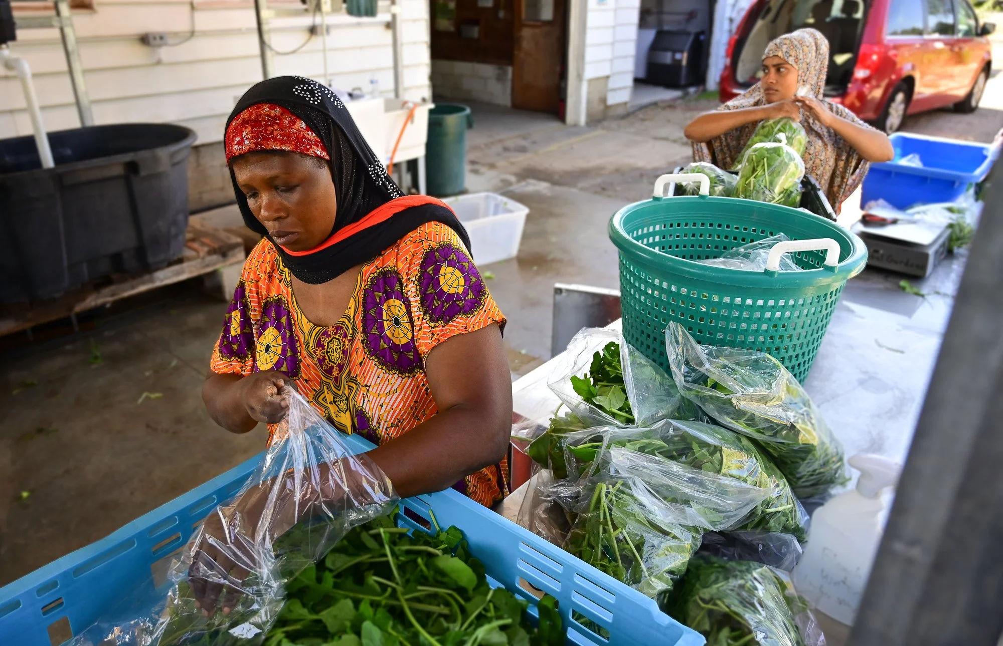 Global Gardens: Cultivating Diversity, Community, and Resilience