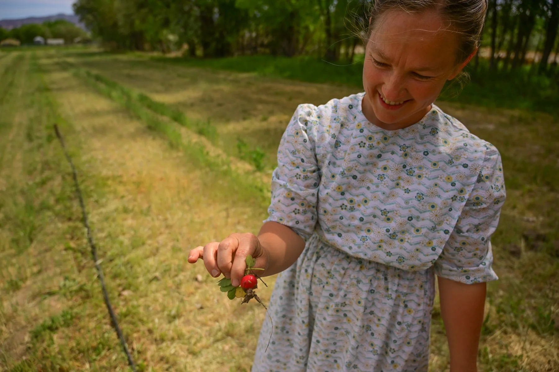 Water saving practices make CSAs stronger and bring people closer to their food