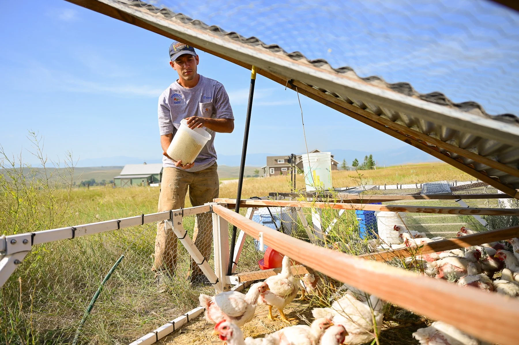 Farming Against the Odds: Brian Berglund’s Journey of Adaptation and Innovation