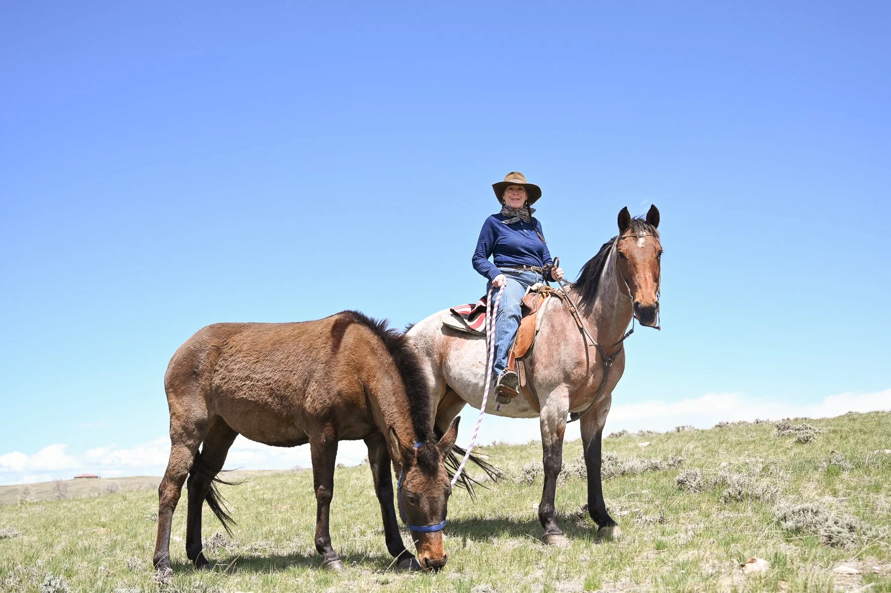 Jill Morrison | 30 Years of Protecting Wyoming’s Land, Water and Air