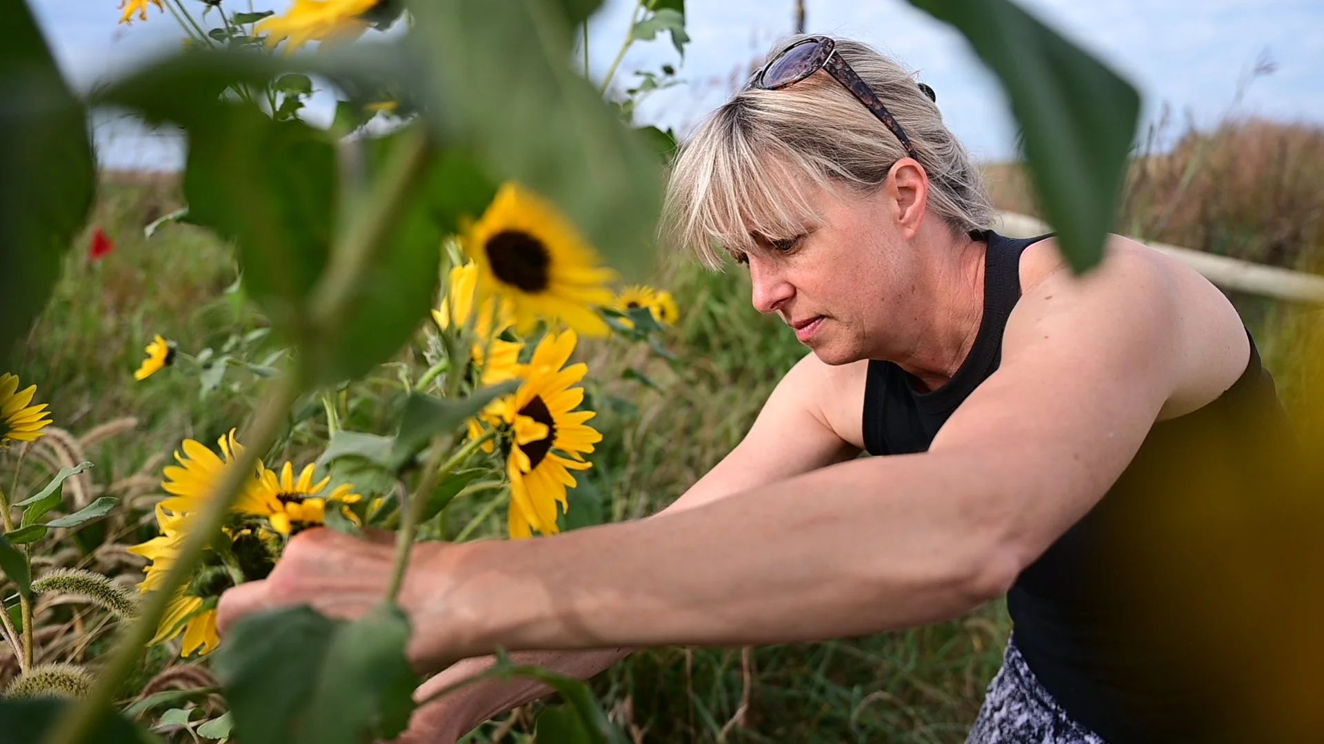 Fruit of the Coop | It’s your Business, Life and Community all Wrapped up in one