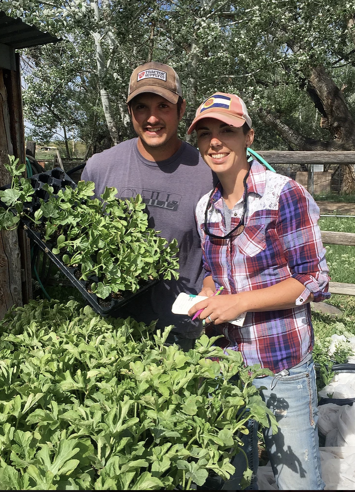 The Importance of Community Supported Agriculture: The Produce Peddler