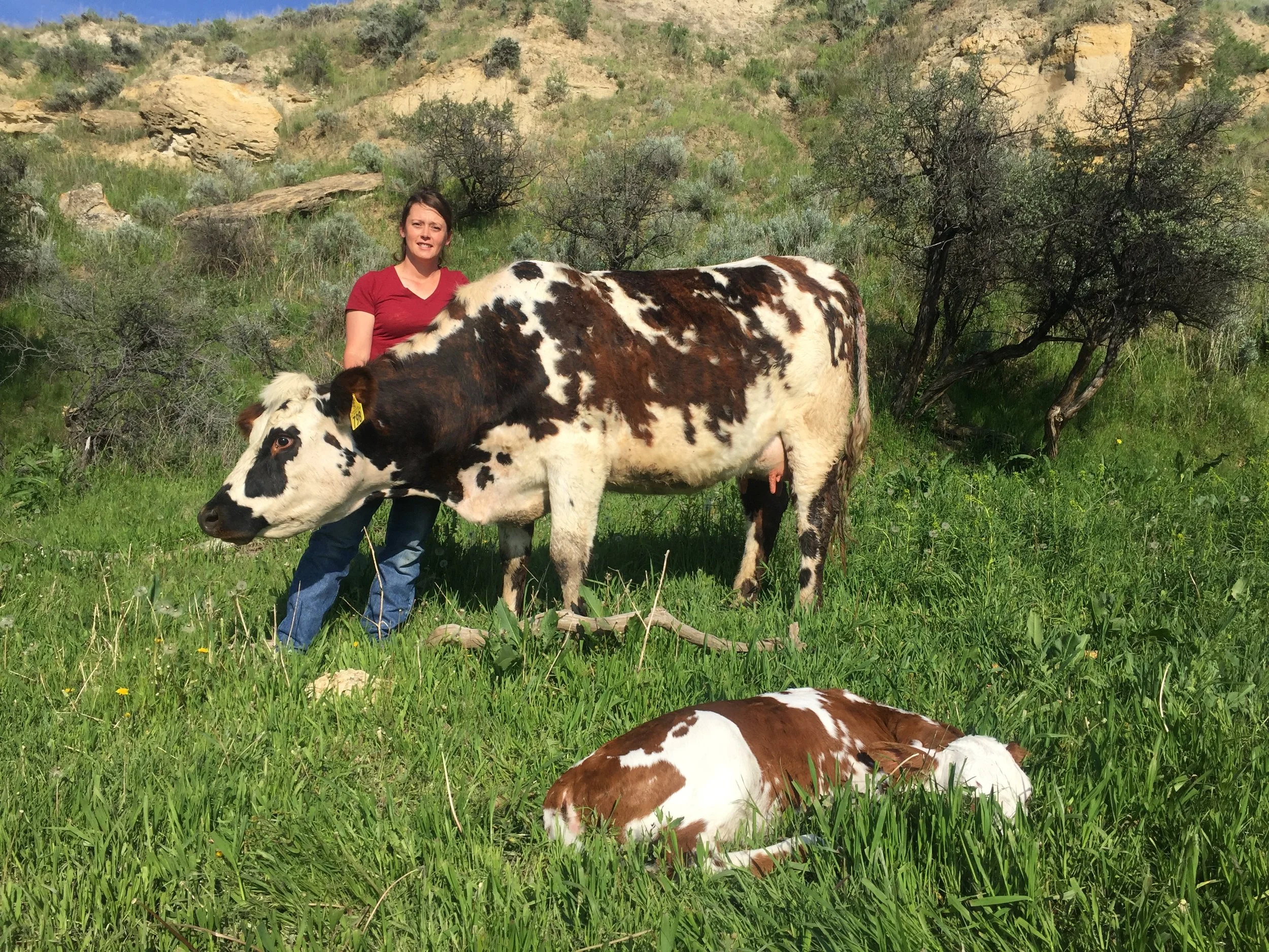 Christine Hampshire: The Wyoming Food Freedom Act and Raw Milk